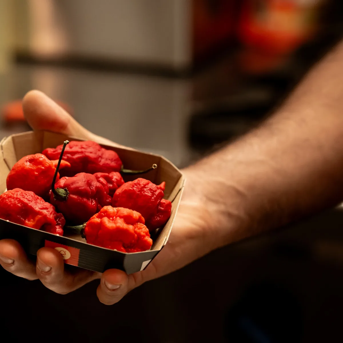 Guindillas frescas recien preparadas en la cocina de NERO